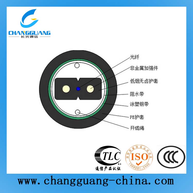 自承式接入網用蝶形引入室內光纜（GJXFCH）